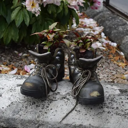 Bongate House Guest house